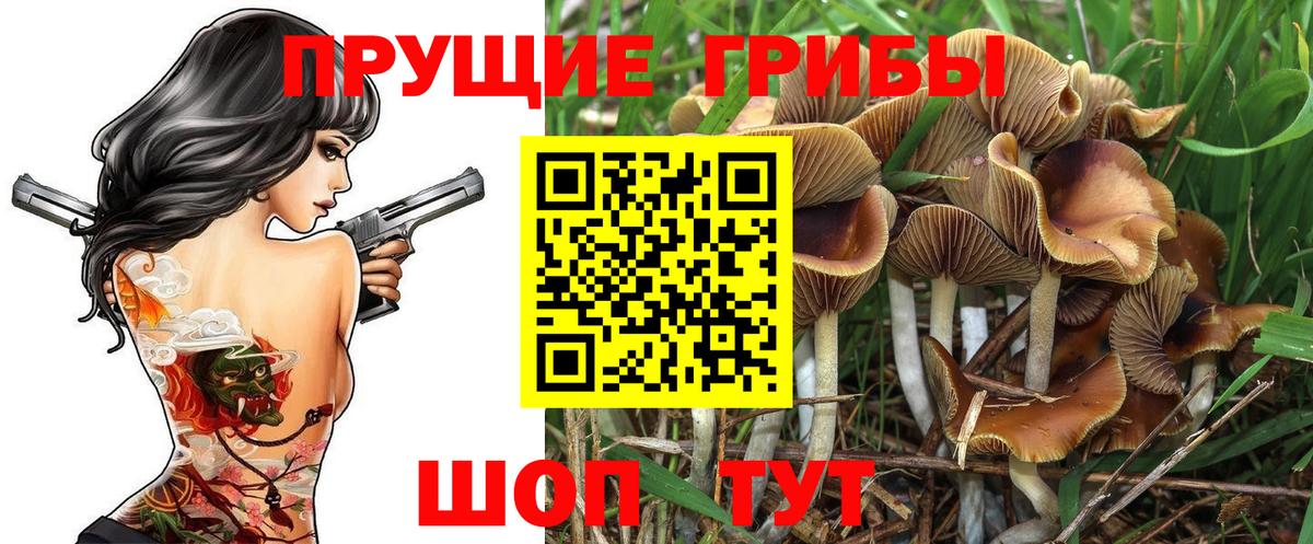 Галлюциногенные грибы мицелий  Вход с VPN  Реутов 